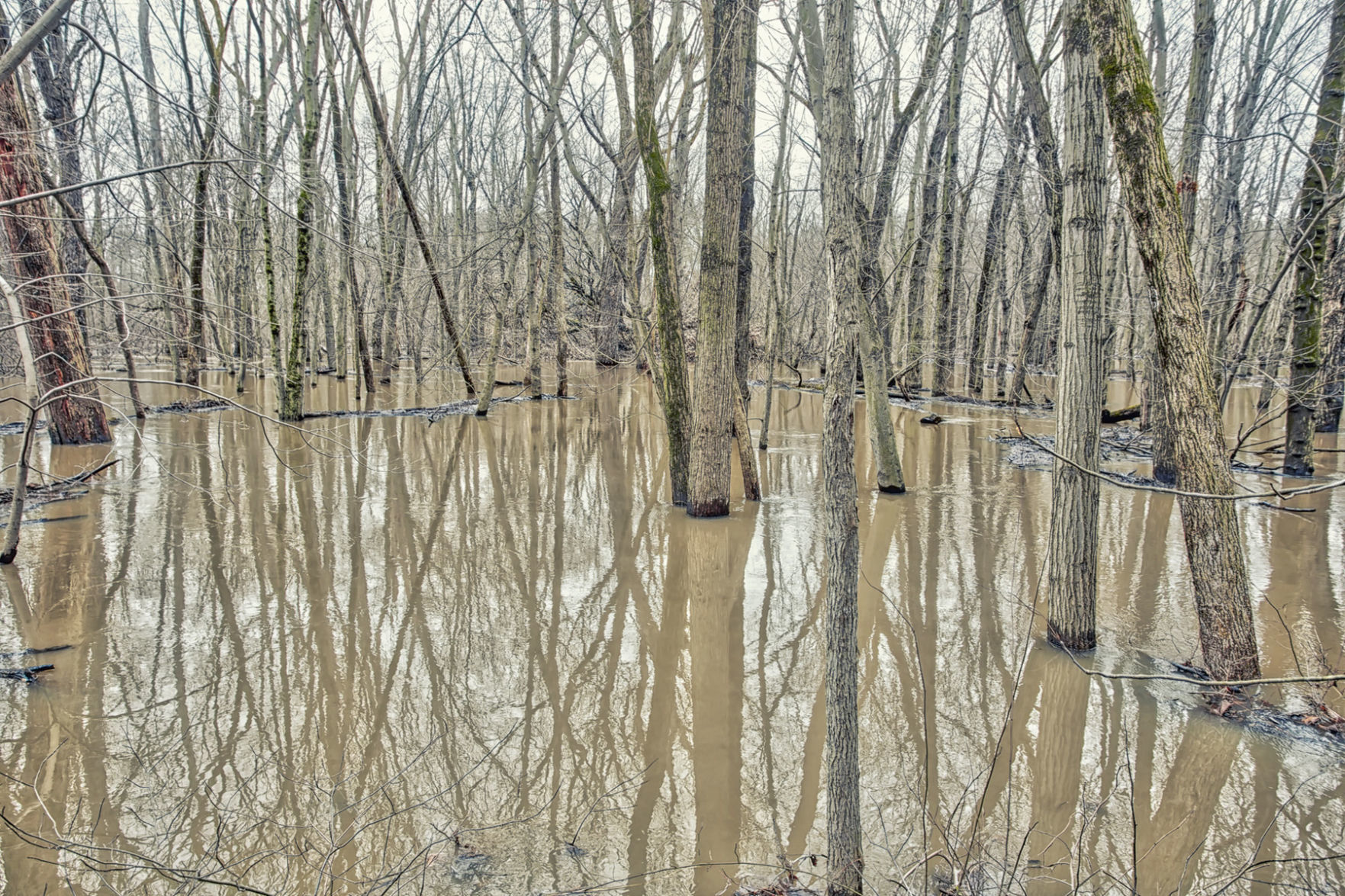 Flood